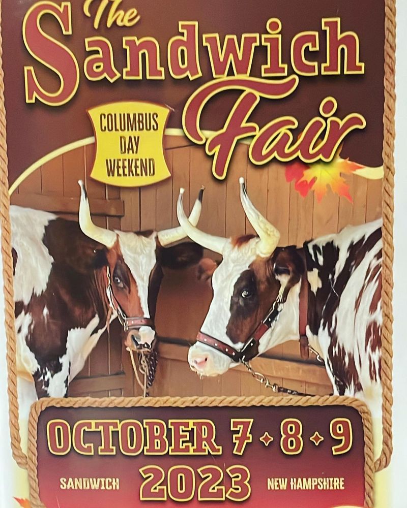 The Sandwich Fair