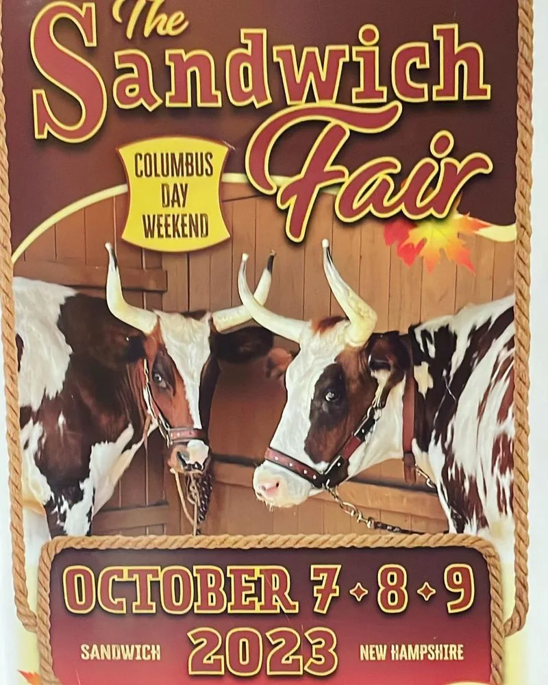 The Sandwich Fair
