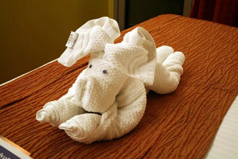 Make your bed creatively (towel animals, anyone?)