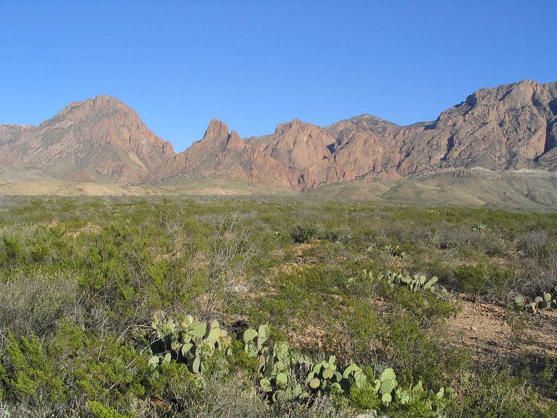 Big Bend National Park (Texas) – Pine Canyon / Chisos Mountains