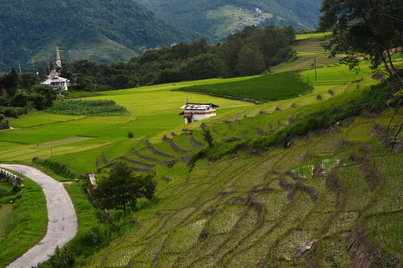 Ziro, Arunachal Pradesh
