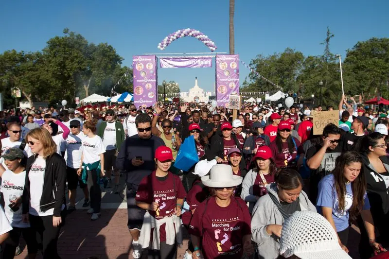 Seasonal events and festivals