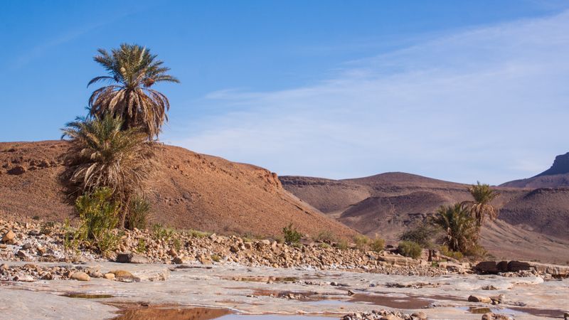 Zagora Oasis, Morocco