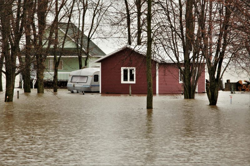 Environmental Risks and Natural Disasters