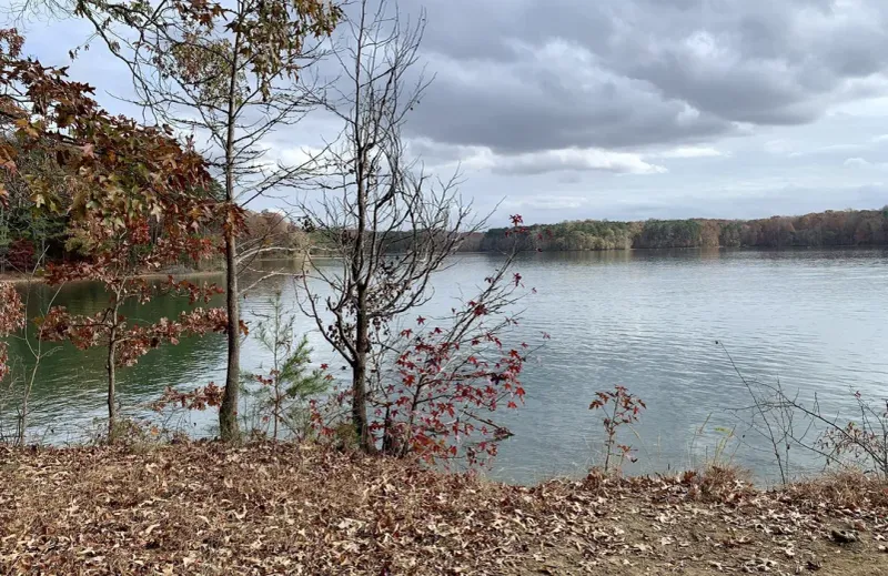 Latta Nature Preserve (easy loops & lakeside paths) — Huntersville / Lake Norman area