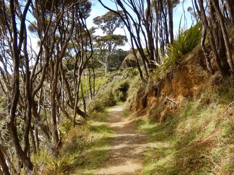Rakiura Track (Stewart Island/Rakiura)