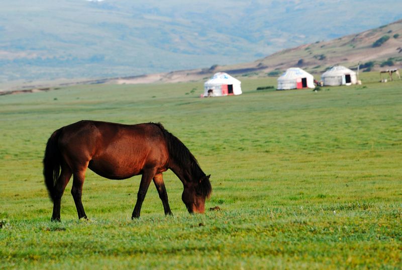 Mongolia