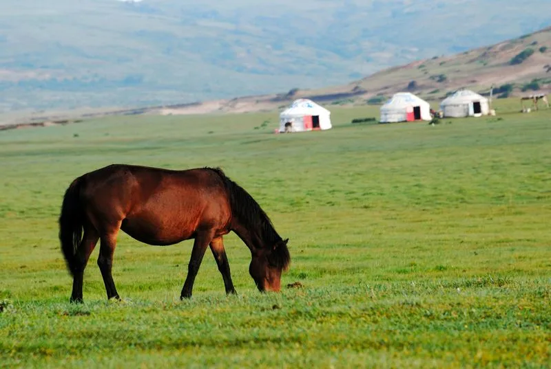 Mongolia