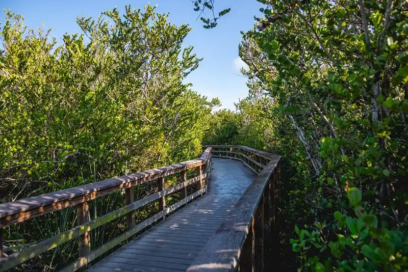 Everglades National Park, Florida
