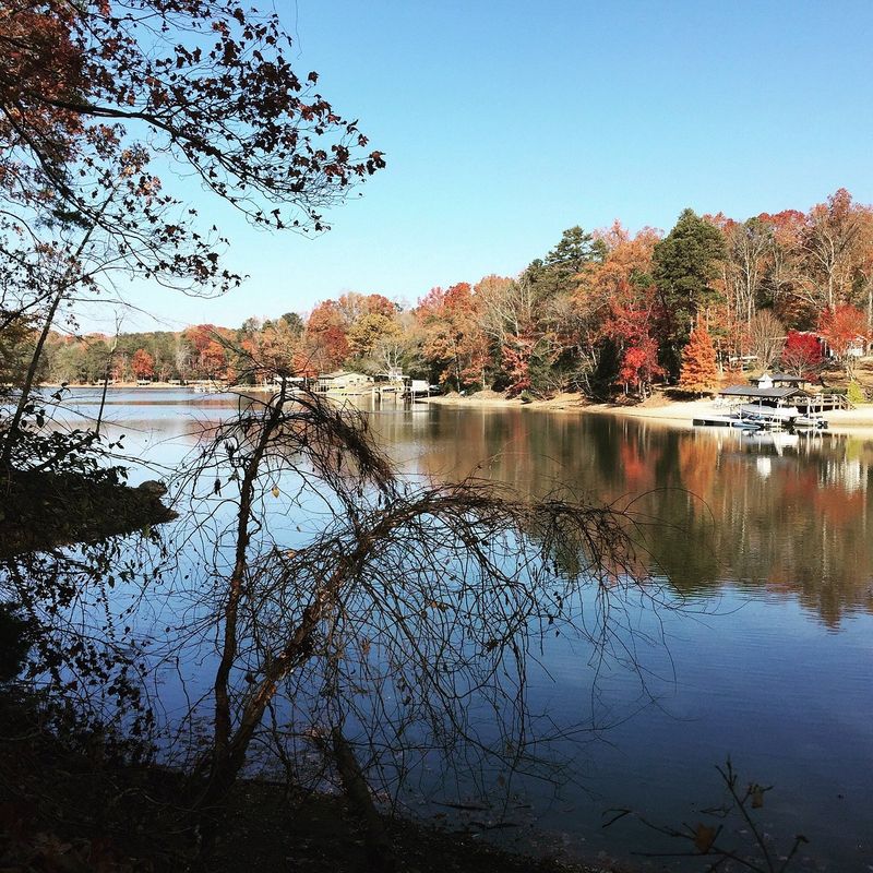 McDowell Nature Preserve — Charlotte / Lake Wylie (Steele Creek)