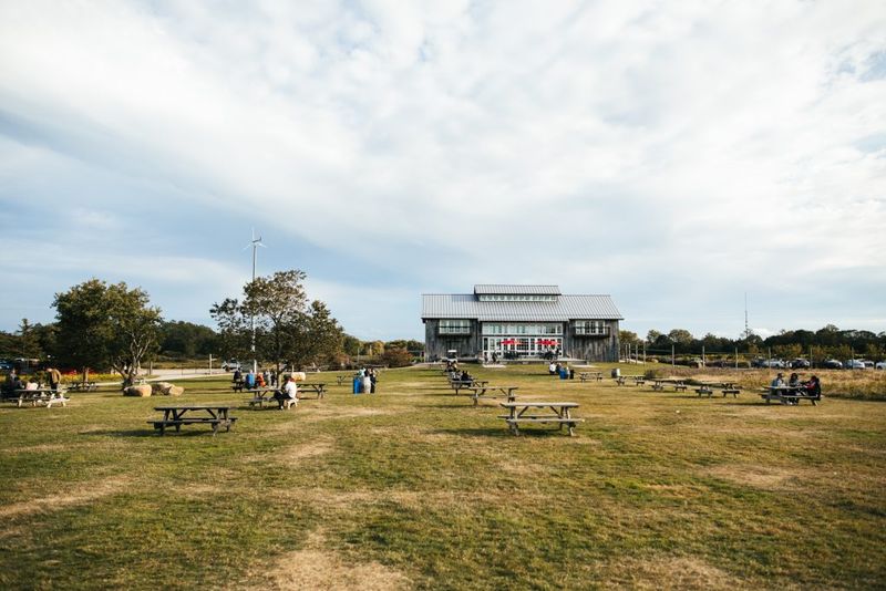 Kontokosta Winery