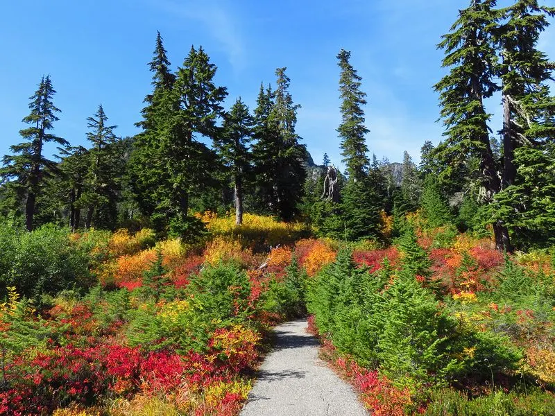 North Cascades National Park