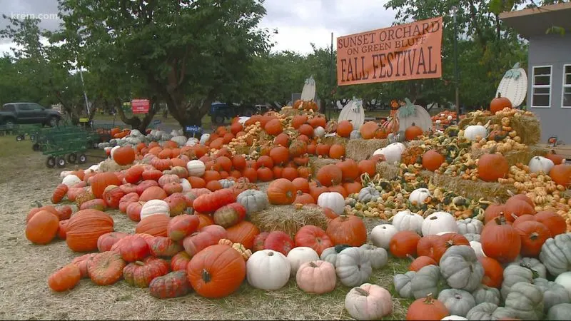 Spokane Fall Harvest Festival