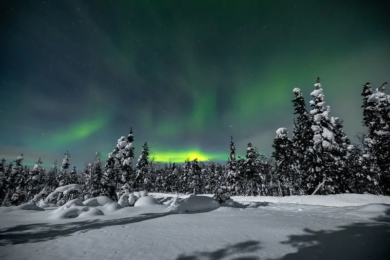 Lapland's Northern Lights