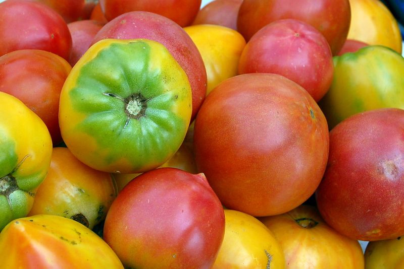 Louisville's Bardstown Road Farmers Market
