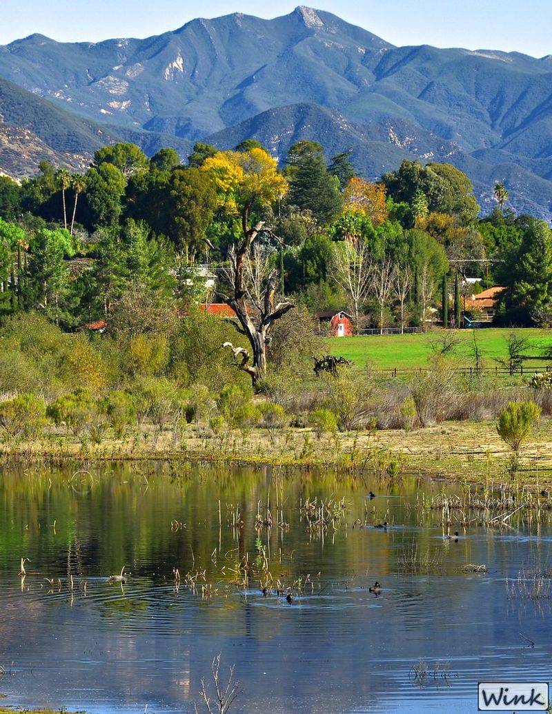 Ojai Meadows Preserve