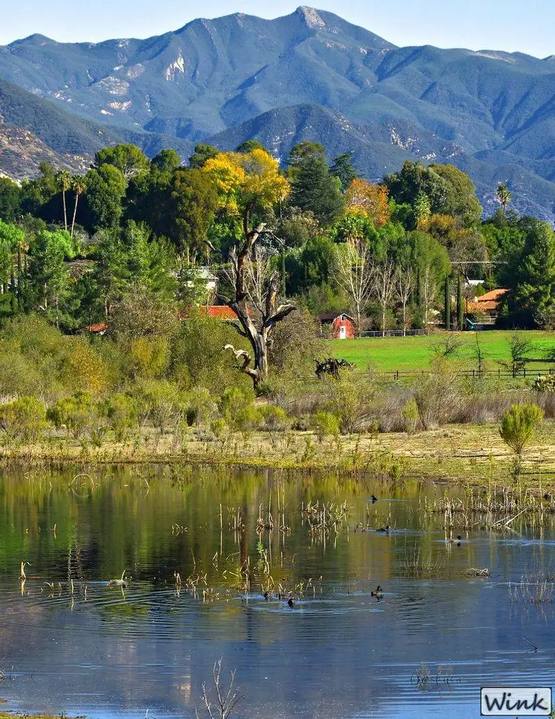 Ojai Meadows Preserve