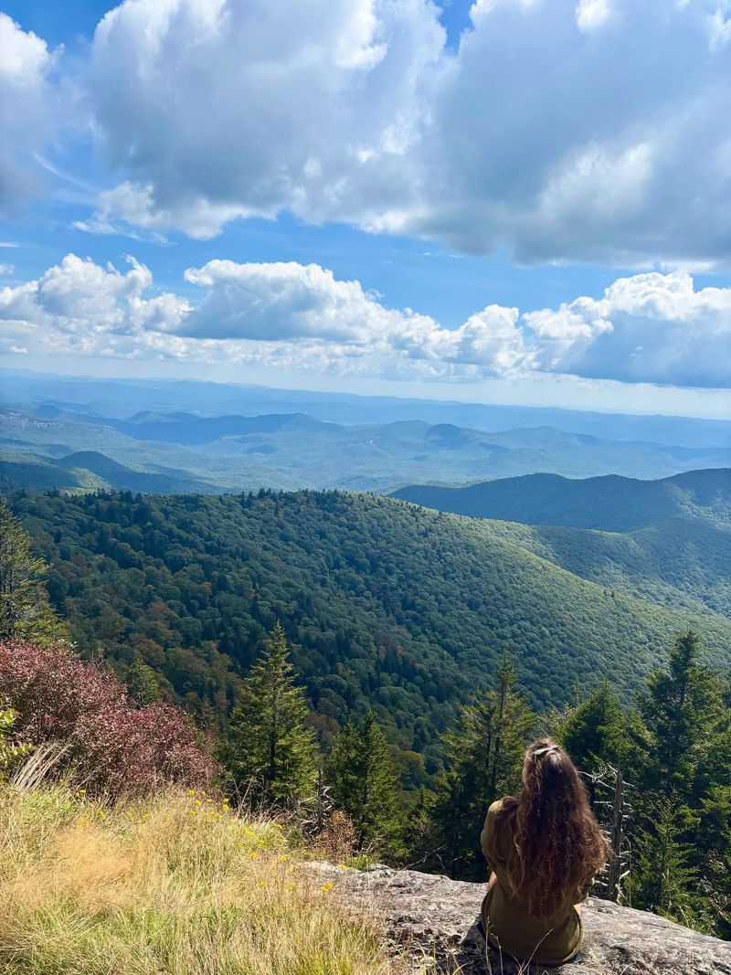 Graveyard Fields Loop — Blue Ridge Parkway (near Asheville)