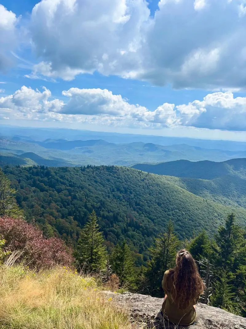 Graveyard Fields Loop — Blue Ridge Parkway (near Asheville)