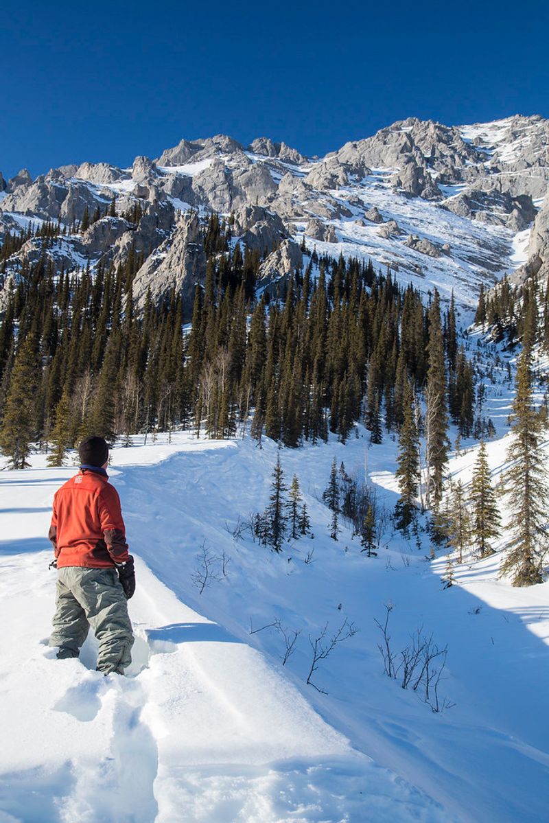 White Mountains