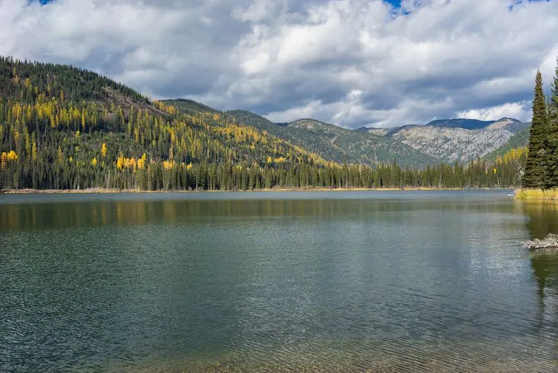 Conservation and Environmental Stewardship