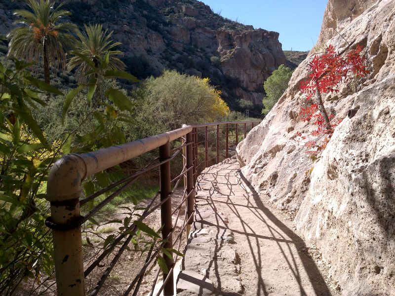 Boyce Thompson Arboretum