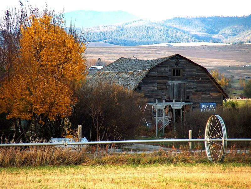 Stevensville