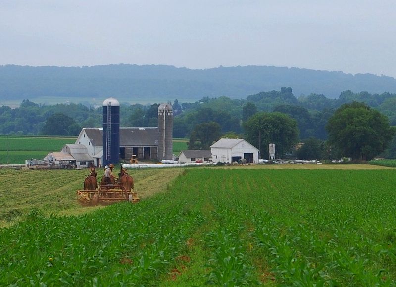 Lancaster County (Amish Country)