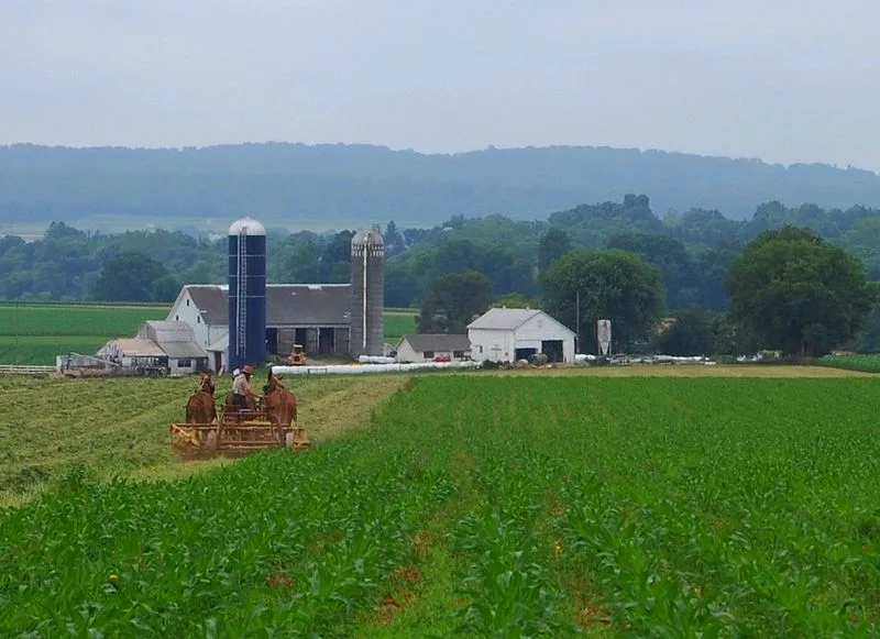 Lancaster County (Amish Country)