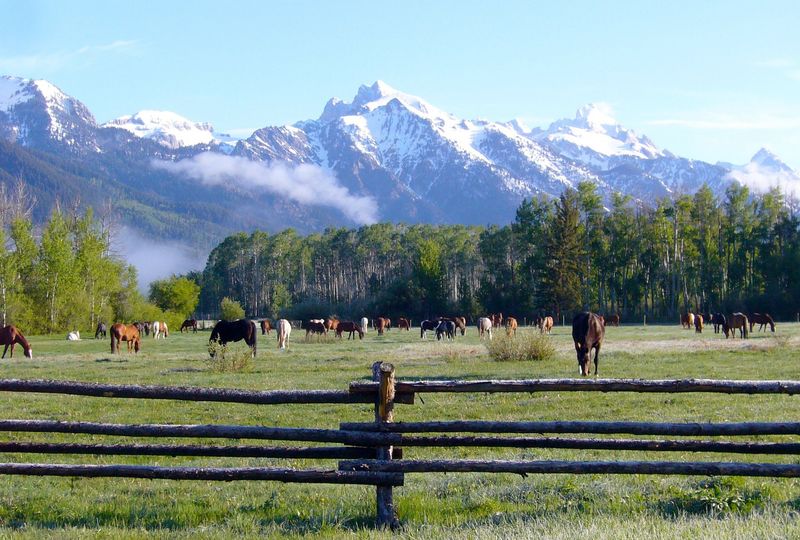 M Lazy S Ranch