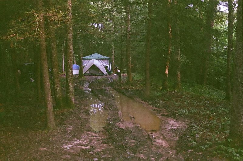 Adventures on the Gorge