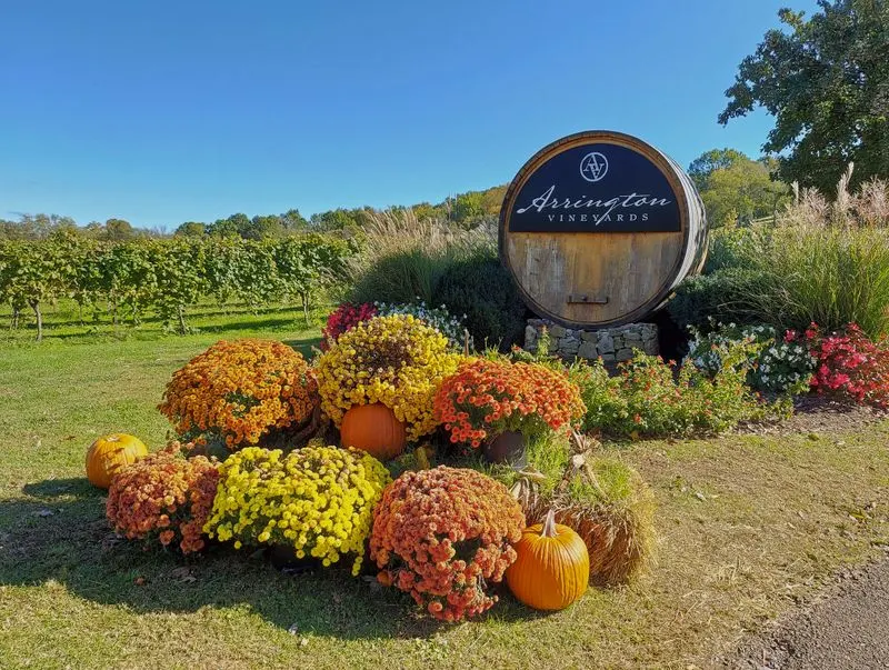 Arrington Vineyards