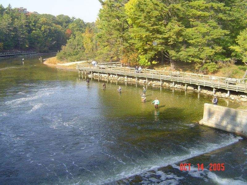 Ludington State Park