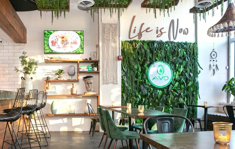 Avo Miami