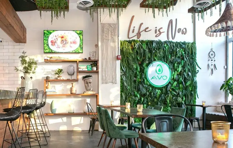 Avo Miami