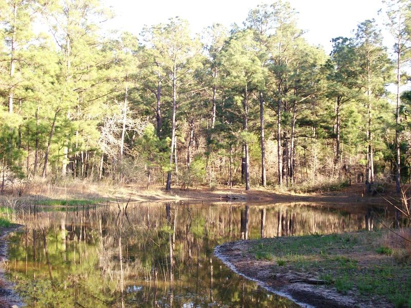 Bastrop