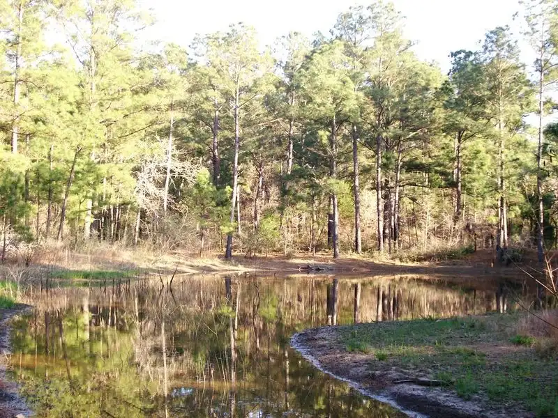 Bastrop