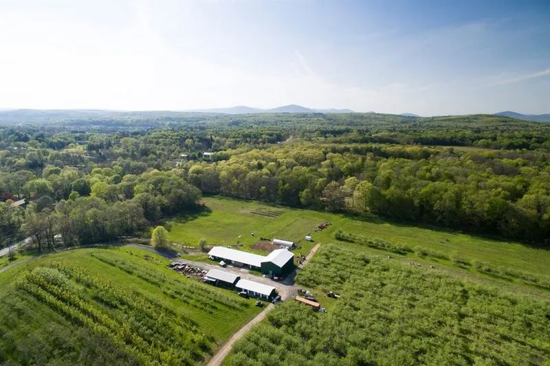 Stone Ridge Orchard