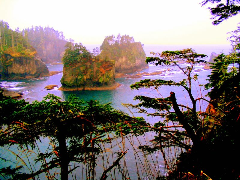 Cape Flattery, Washington