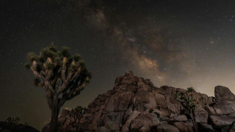 Joshua Tree National Park