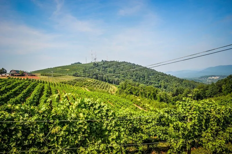 Carter Mountain Orchard