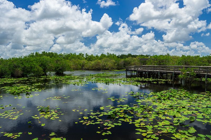Everglades National Park
