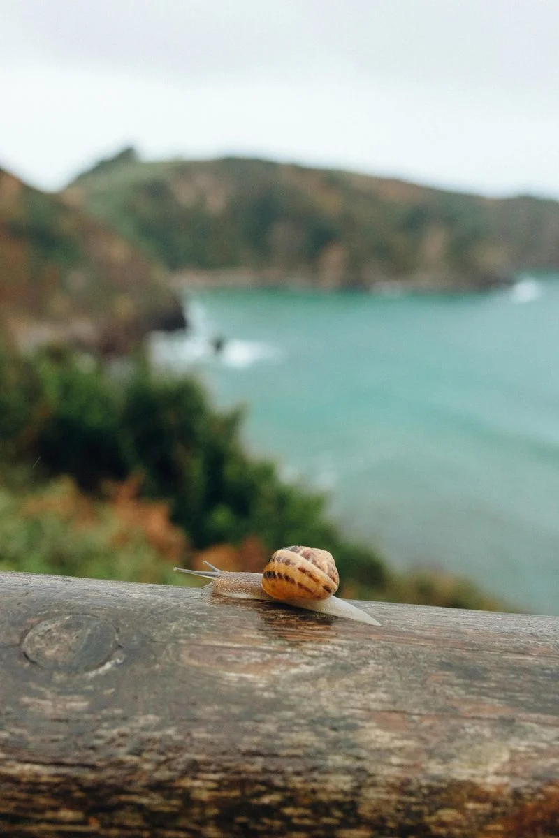 Slow Down (Literally and Figuratively)