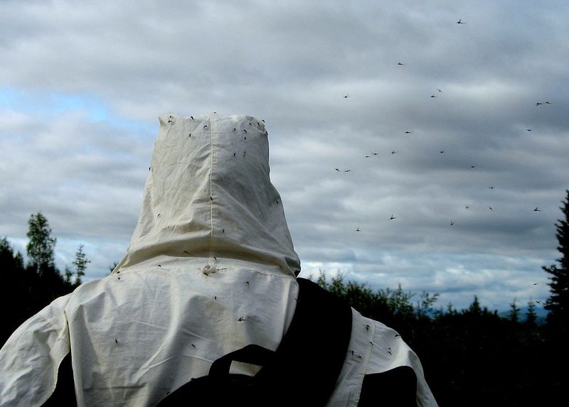 Failing to Prepare for Mosquito Season