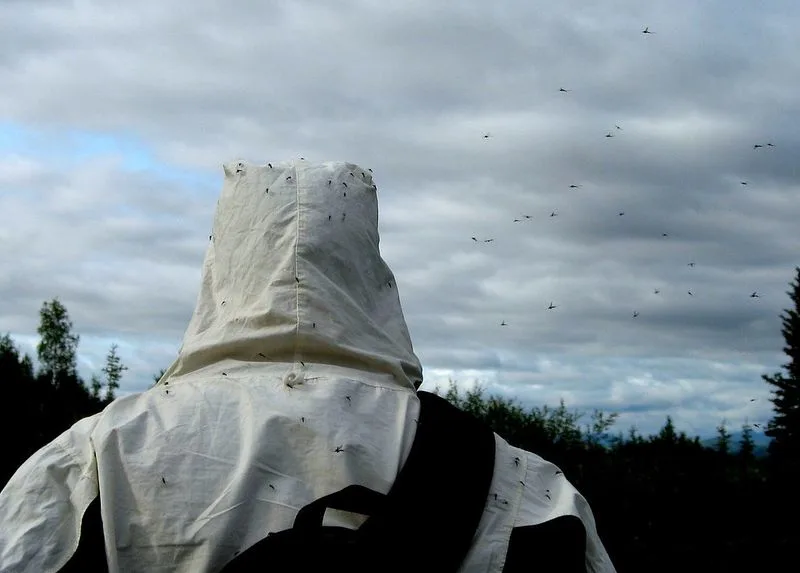 Failing to Prepare for Mosquito Season