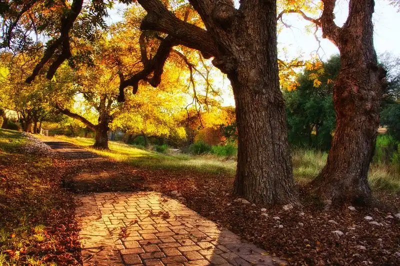 Texas (Hill Country)