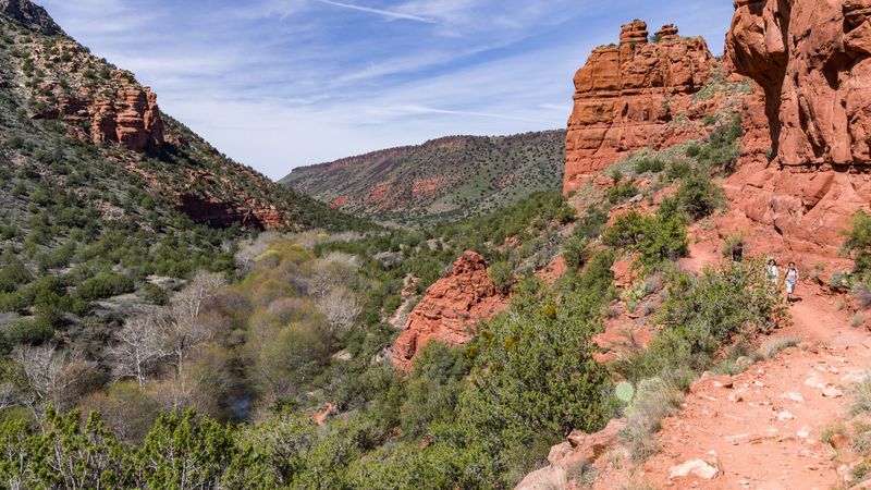 Coconino National Forest
