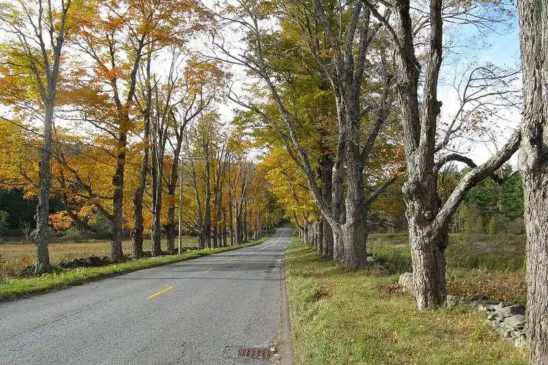 Route 116, Amherst to Sunderland