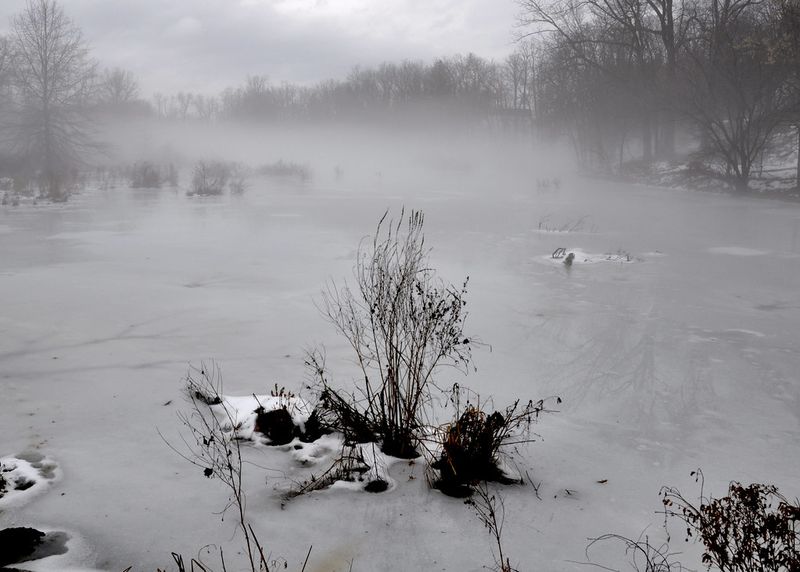 Nyquist-Harcourt Wildlife Sanctuary
