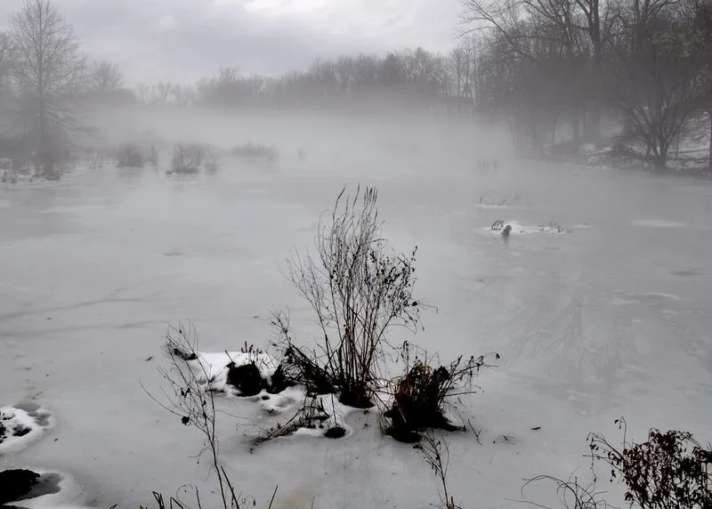 Nyquist-Harcourt Wildlife Sanctuary